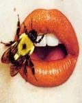 pic for honeybee mouth